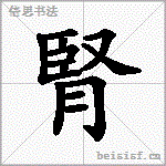 腎