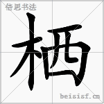 栖