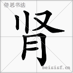 肾
